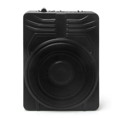 Cross-Border Direct Supply 10inch: Car speaker/subwoofer