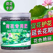 �ɻ�����ɏ�I�BҺ˯ɏ�ɻ�����ɏ��ˮ��ˮ��ɏź�������Ժ���