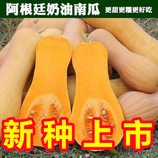 �����ϹϷN�Ӵ����＾�ļ������۱���Ŵ�t���������ó��ϹϷN����