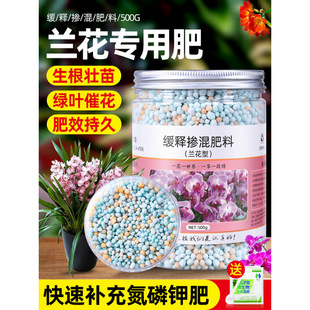 �m�����Ϸʾ�ጿ�ጷ��m��ħ�ʺ����m�����m���_���ЙC��ֲ��
