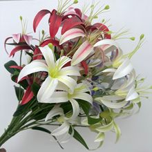 3^ٺ 5^ٺϻcY·bٻҾ̈Q 滨