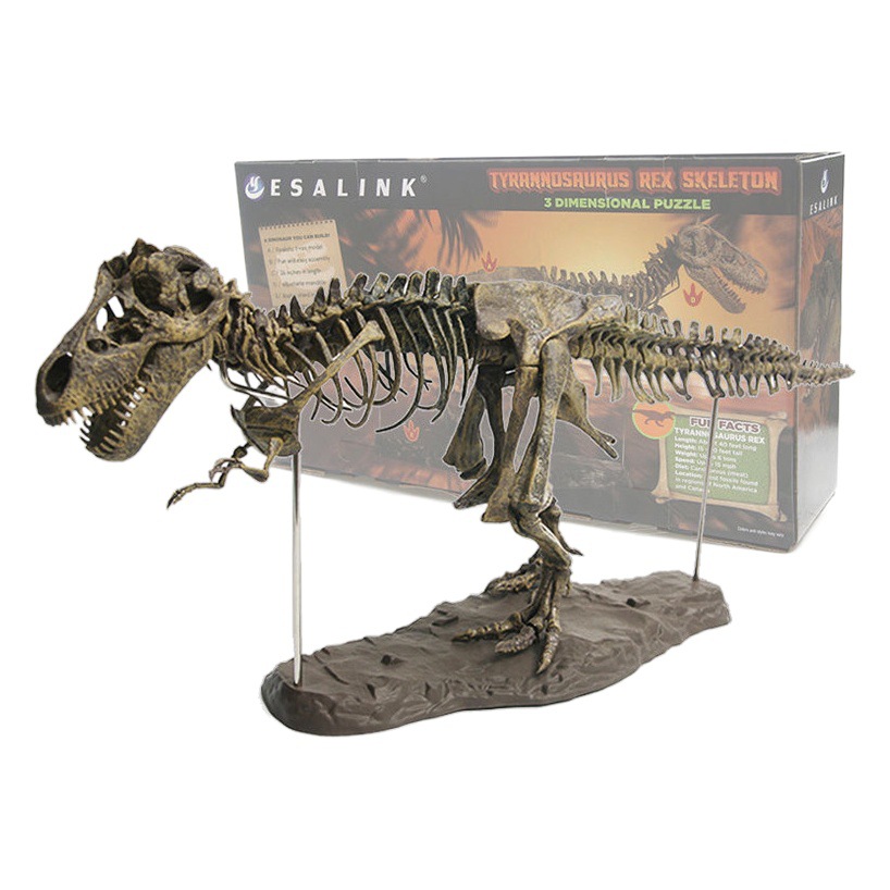 Gran dinosaurio fósil montado PVC Tyrannosaurus puesto educativo de los niños simulación animal modelo juguete adornos