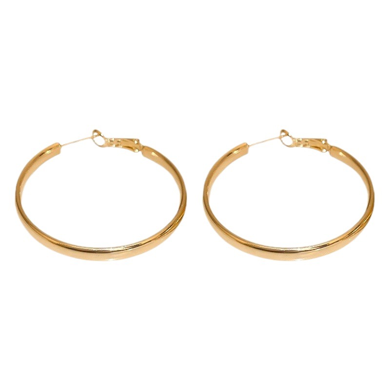 French Metal Circle Ear Ring Earrings 2024 New Trendy Niche Design Unique Elegant Earrings for Women