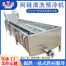 家禽屠宰流水线网链胴体清洗机 家禽胴体清洗机 鸡爪浸烫清洗机