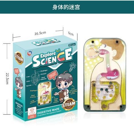 跨境儿童益智早教人体器官骨骼模型套装科教中小学生DIY显微镜