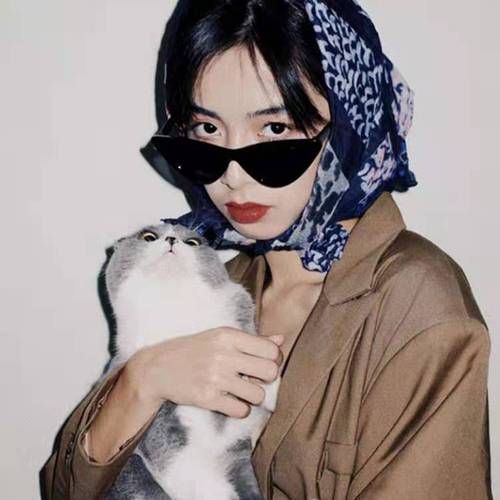 Jet 366 trendy triangular cat-eye sunglasses European and American street photography couple style sunglasses small frame personalized sunglasses