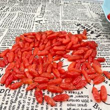 �����������Сˮ��ϵ�Ќ������ș��ʳ�ĵ��b��������ģ��