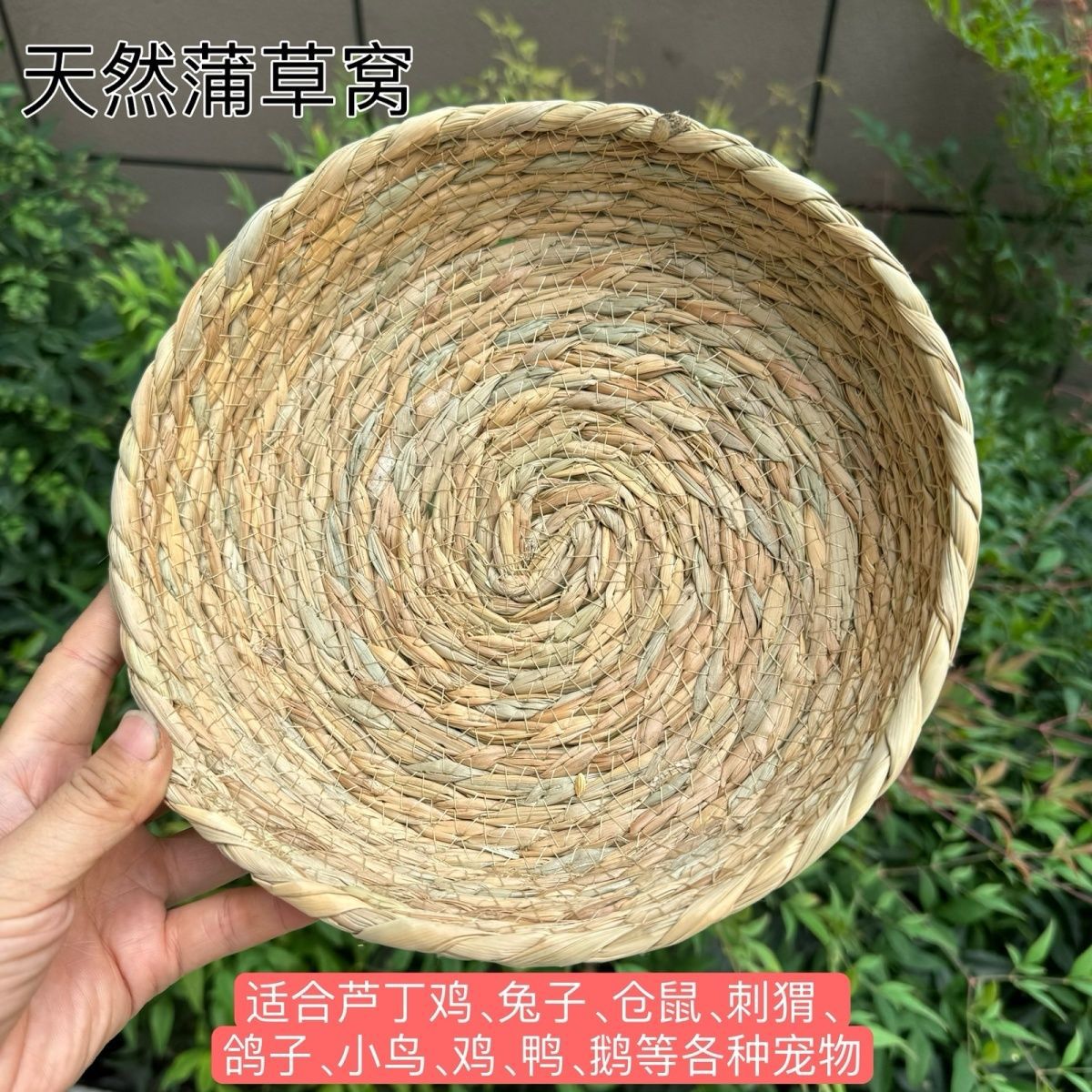 平底蒲草鸽窝母鸡下蛋窝草编鸟窝幼鸽芦丁鸡下蛋饲养鹌鹑兔子草窝