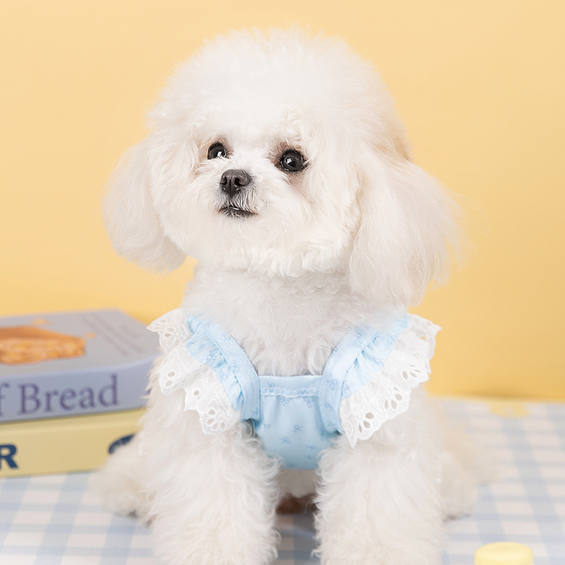 Perro de hadas estampado con una falda de mariposa de cabina pequeña que osos Teddy verano sale vestido de princesa delgada ropa de perro image 3