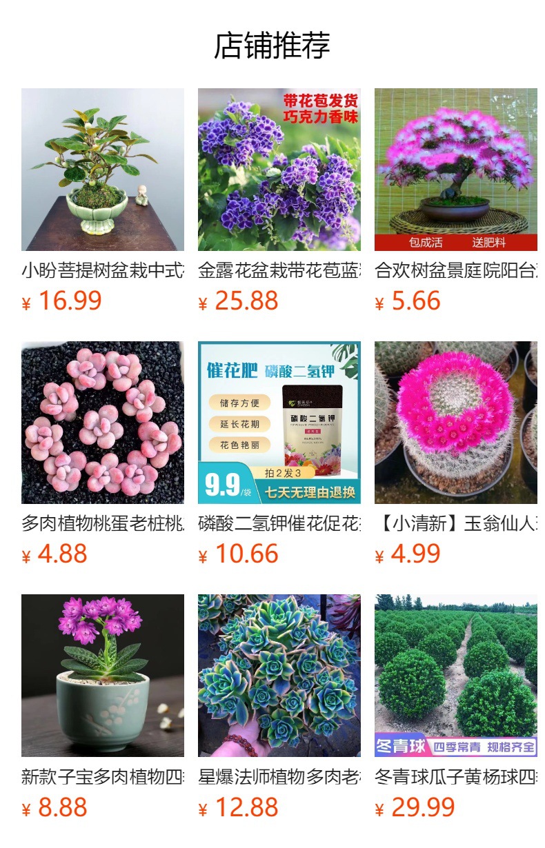详情图