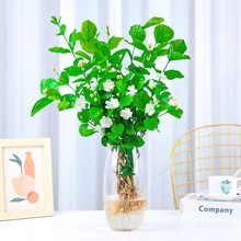 ˮֲl؛ԑrGֲˮBk҃B