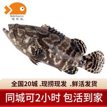 ���͝O�����r���r��ʯ���~��đ�~ ���~�ϻ����r��r 1.8-2.0��/