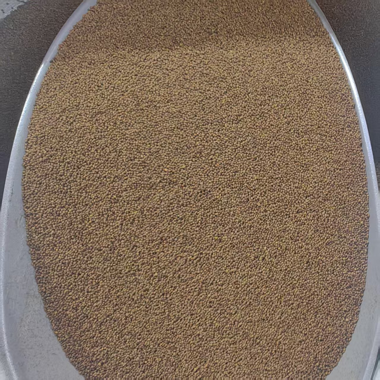 Dodder Seed Tu Si Zi 500g Dried Cuscuta Seeds for Wine Infusion Soup and Decoction quality and texture