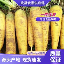 山西新鲜黄萝卜新疆口味手抓饭黄胡萝卜农家自种生吃榨汁5斤包邮