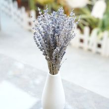 薰衣草干花束真花客厅装饰摆件花束礼物安神助眠干花新花天然