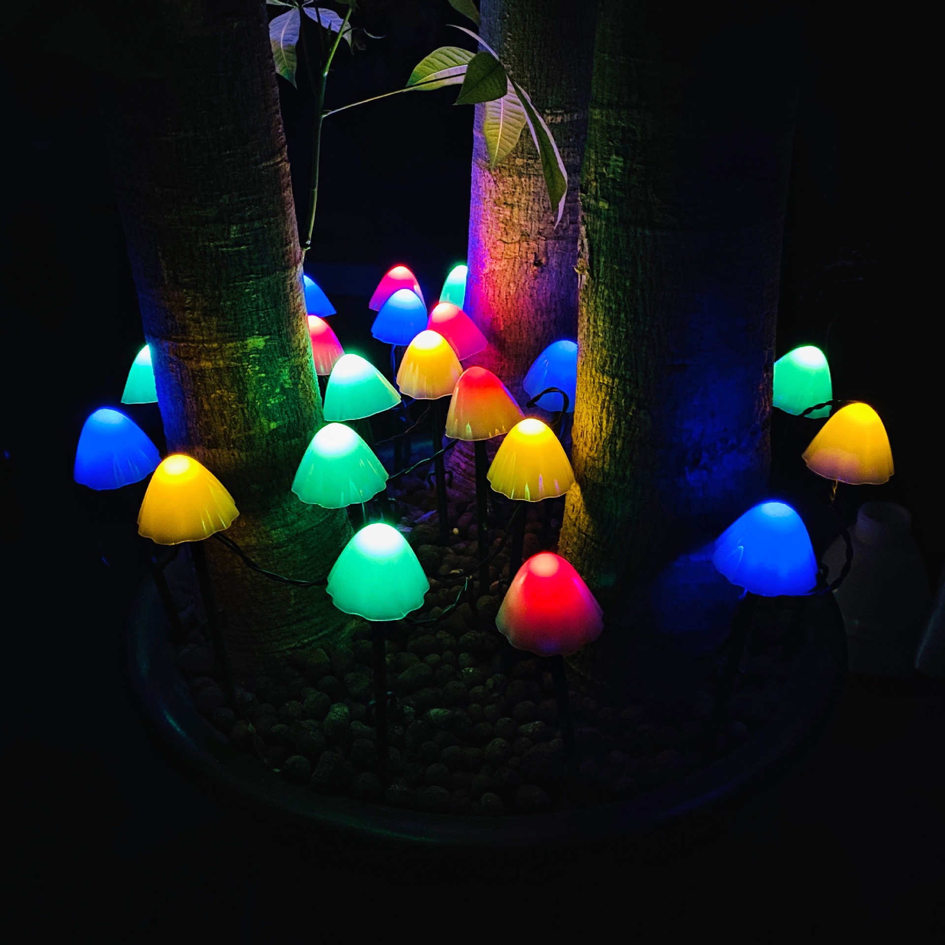 Fabricante DE LA FUENTE popular luz de la seta solar cadena jardín al aire libre luz decorativa de Navidad LED luz de modelado de la seta