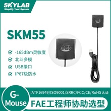 SKM55 USB�ӿ�gps����ģ�K ��܇ӛ䛃x��λ����ģ�K Gmouse