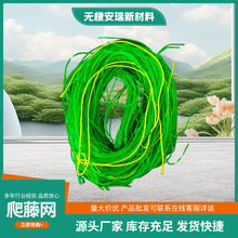 尼龙爬藤网园艺瓜果蔬菜丝瓜豆角爬架菊花花园格子网抗倒伏用网
