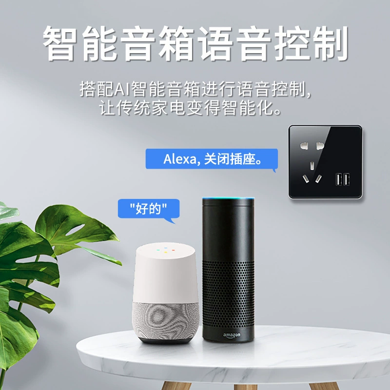 Graffiti smart socket wifi graffiti 10A five -hole band USB factory wholesale smart zigbee socket