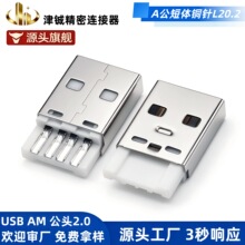 AM A公一体焊线式公头20.2mm短体0.25 A型公头usb连接器铁壳铜针