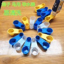 喂鹦鹉水鸽鸽子用品用具信鸽用品具导双口自动饮水器水器水壶鸟用