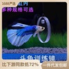 Acrylic Douyu Training Mirror Lei Long Luo Han Gong cheeks floating ball double -sided mirror sucking fish tank outside the mirror mirror