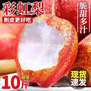 ������r�ʺ���10�����Ӯ����tƤ�������Ƥ����������������]