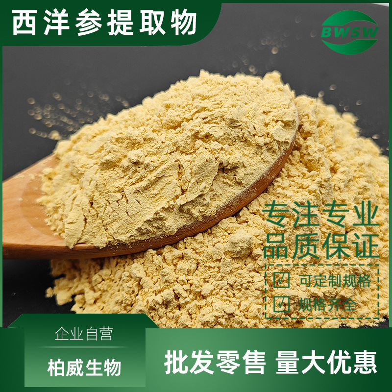 西洋参皂甙 原料 西洋参提取物 80% UV 柏威现货批发