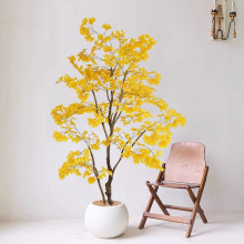 ����Gֲ�����y�Ә䎧��[�ż�ֲ���＾���^�y�Ӵ�������٘��b�