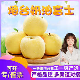 【严选】山东奶油富士代发3斤新鲜黄苹果脆甜当季水果非黄金帅