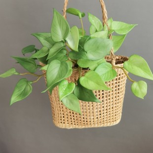 С�t���~���Q�~ �ָ�ܛ�zֲ�� ���W�ҾӘӰ��g�b� ����Gֲ �ٻ�