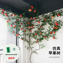 ����ˮ���ٗl�b��p�@�پGֲ���٠����b��҃ȵ�픴����쾰�O����