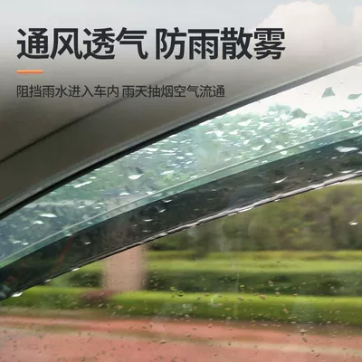 Rain shield Lavida Plus, Bora, Sagitar