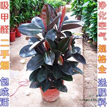 ��Ƥ��ڽ������Ի�����͏d�҃ȾG�~���~�ļ�������ֲ������՚�
