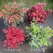 �M�ڞ������������� �t��ʯ������ �ͺ���ɫ�^�~ֲ�� ��ľ���R