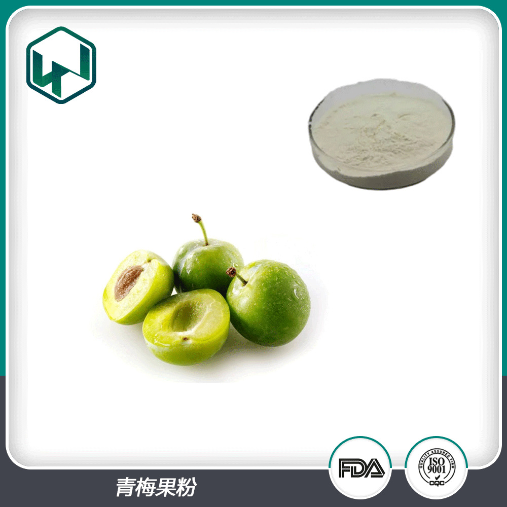 青梅果粉 99%含量水溶速溶食品原料果蔬粉 厂家现货包邮量大从优