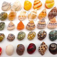 �ľ�з��Ʒ�ֹ��ľ�з��Q������b�ؐ���[�����С̖��̖