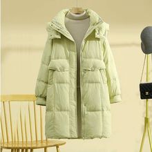 2025¿nqŮжӺrLBñqů