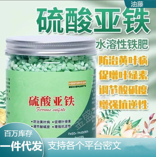 Ferrous Sulfate Flower Iron Supplementation with Acidic Iron Fertilizer for Fruit Trees Universal Gardenia Fertilizer for Camellia