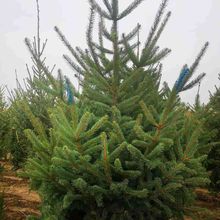 ˮɼ��ˮɼ���� �ɼ��ɼС�� ����ɼ��ɽɼ���� ͥԺ�G�����^��