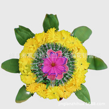 50�ջ�С��Ȧ ˮ���� ���w�� ��̺ ��Ȧ �ǻҺ� �Ț�����Ʒ���l