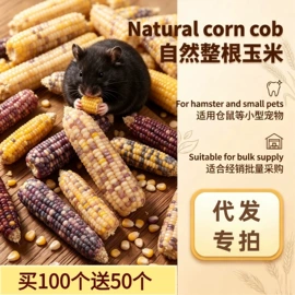 兔子主粮;其他小宠用品;龙猫零食