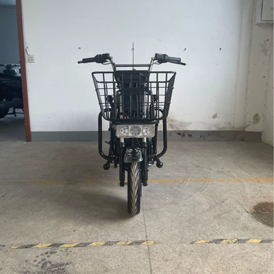 Elektrikli motosikletlər electric vehicles 800W climbing