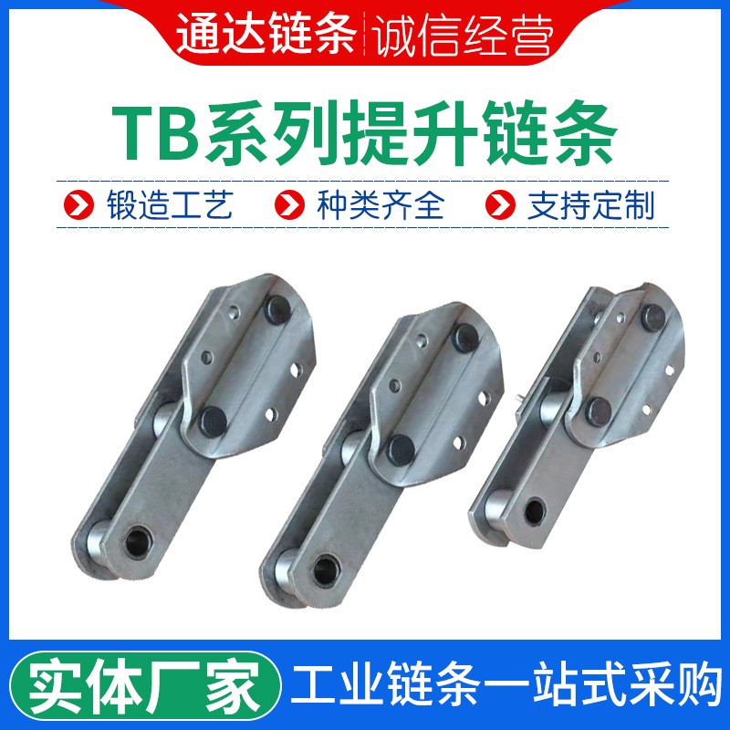 TB系列提升链条节距100/125单排双排传送链条NE链条