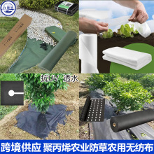 �羳����@ˇ�����r�I�÷��ݳ��ݸ��w����͸ˮ��Ĥ��ճ���]�o����