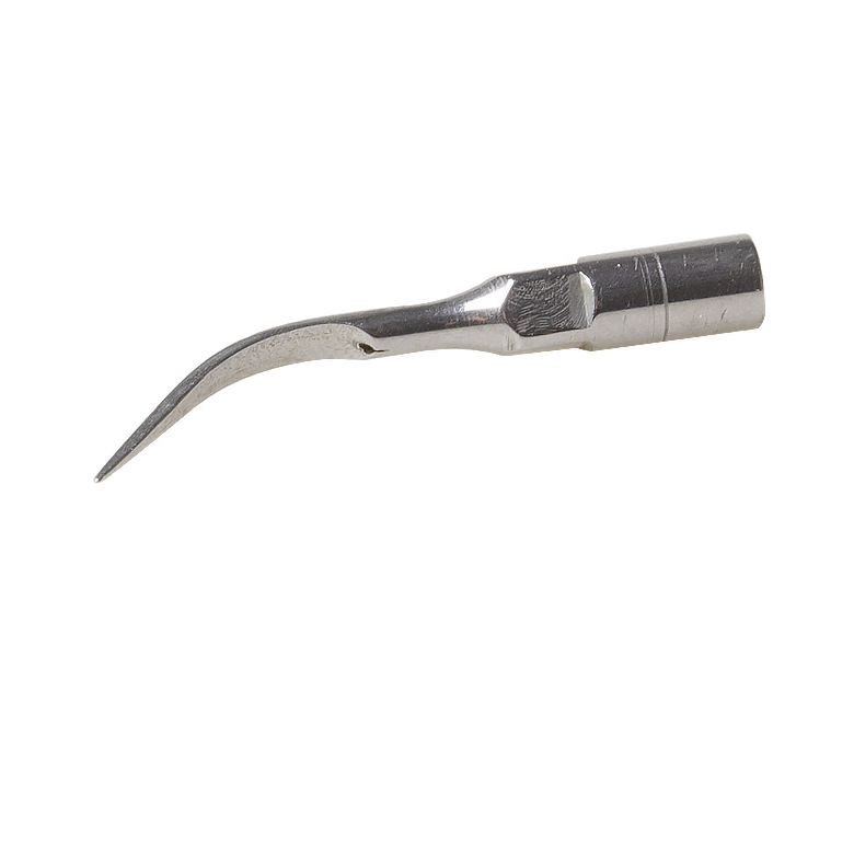 Dental oral material Acero inoxidable diente limpiador cuchillo cabeza mango diente limpiador punta de trabajo quitar cálculo dental