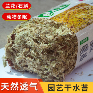 dried moss water moss moss butterfly orchid fleshy dendrobium nutrient soil seedling grafting insectivorous turtle hibernation mat