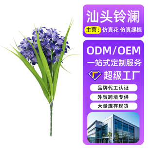 �����ơ����_�m�L���ӷ��滨��Y�õ��Ż�ˇ�Ƶ�Ҿ��b[���ٻ�