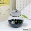 [Island Set] Mystery Island*2 small balls*packaging