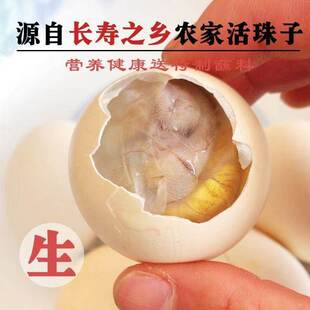 ����13�����u�������r�����u���������������خa䓻�����ȫë��